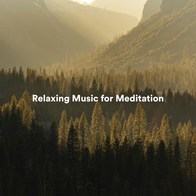 Relaxing Music for Meditation cover art
