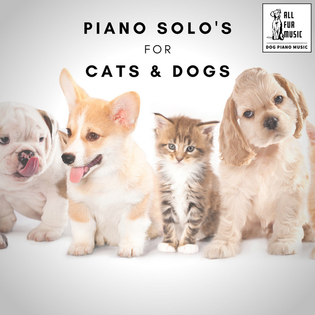 Piano Solo's for Cats & Dogs cover art
