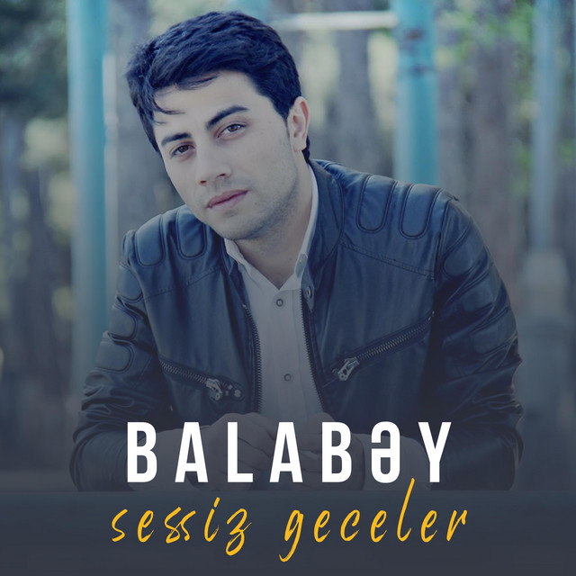 Sessiz Geceler cover art