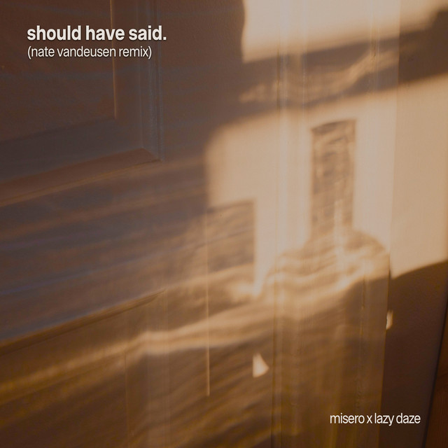 Should Have Said (Nate VanDeusen Remix) album image