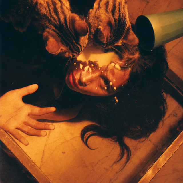 Miljillo (Deluxe) cover art