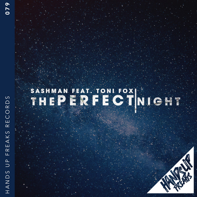 The Perfect Night - Naptone Remix cover art