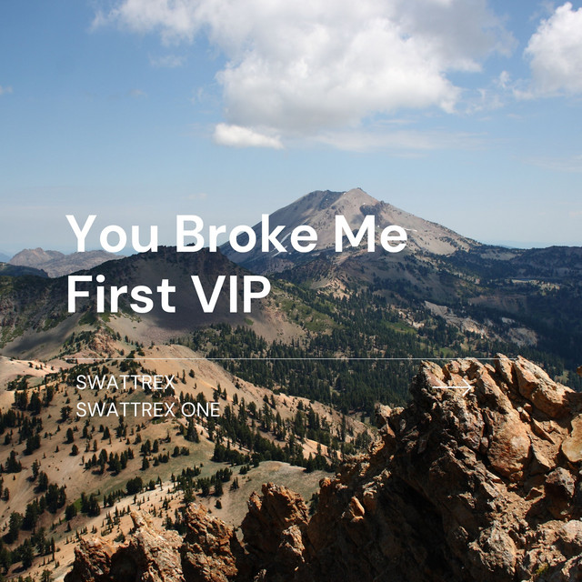 You Broke Me First VIP cover