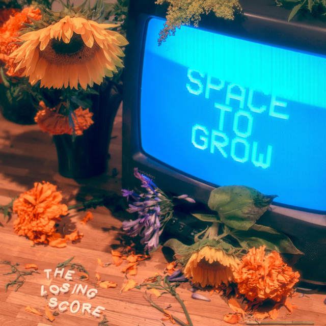 Space To Grow cover
