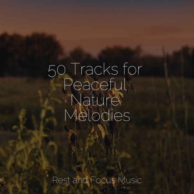 50 Tracks for Peaceful Nature Melodies - Album by Sleep Meditation ...