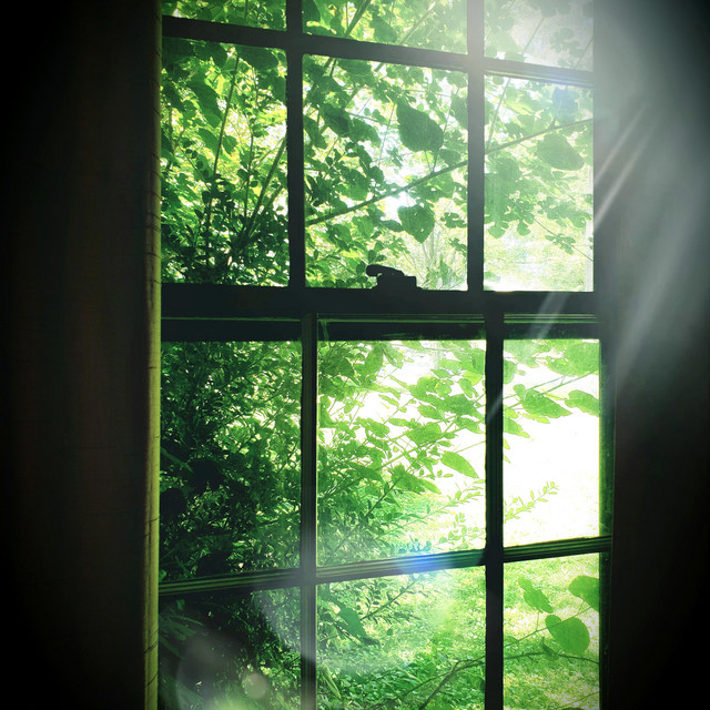 The Morning Sun