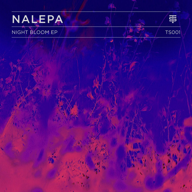 Night Bloom EP cover art