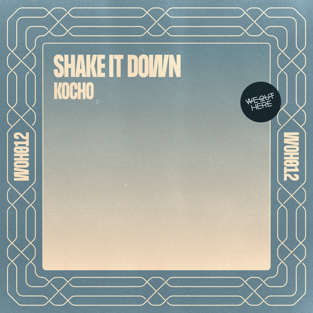 Shake It Down album art