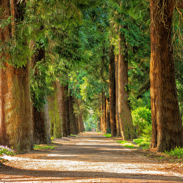 A Playlist For a Roadtrip | Sunrise Yoga, Restful Nap cover art