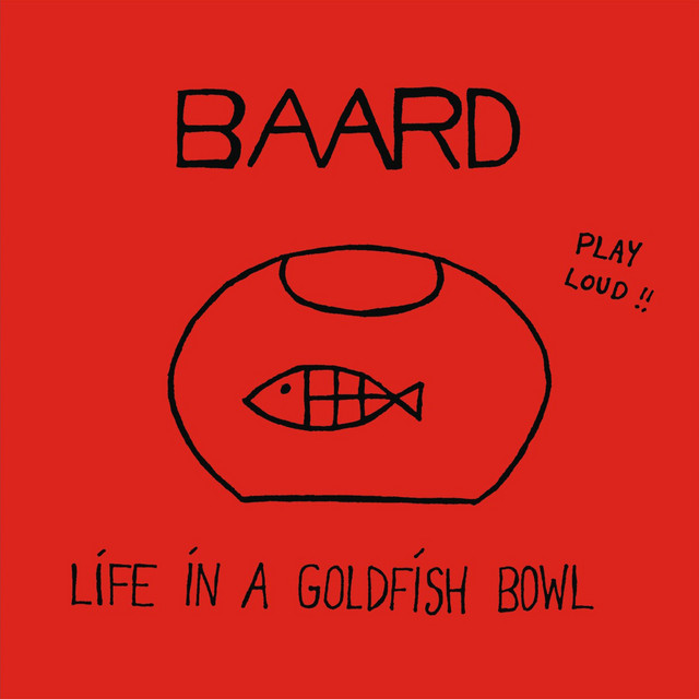 Baard