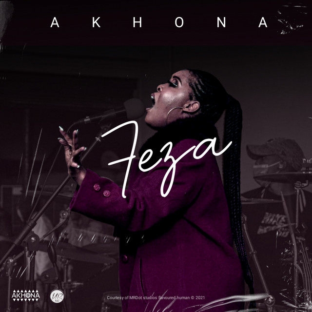 Ngiyazisola cover art
