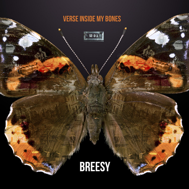 Verse Inside My Bones cover