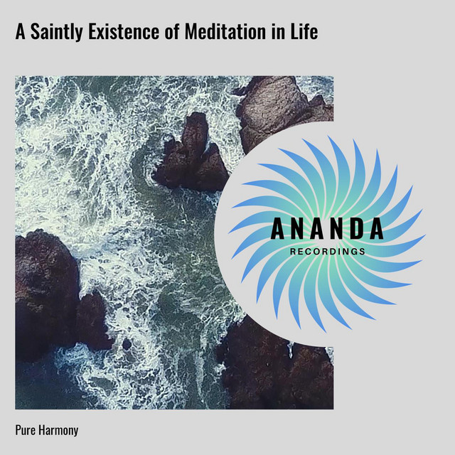 A Saintly Existence of Meditation in Life: Pure Harmony cover