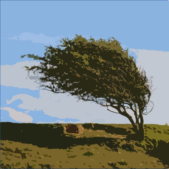The Wind and the Rain cover art