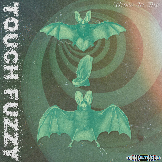 Echoes In The - Single by Touch Fuzzy | Spotify