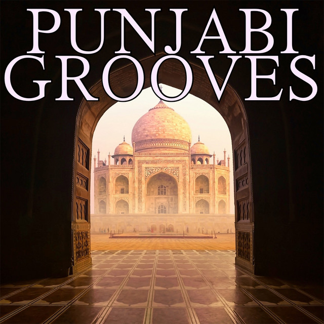Punjabi Grooves cover