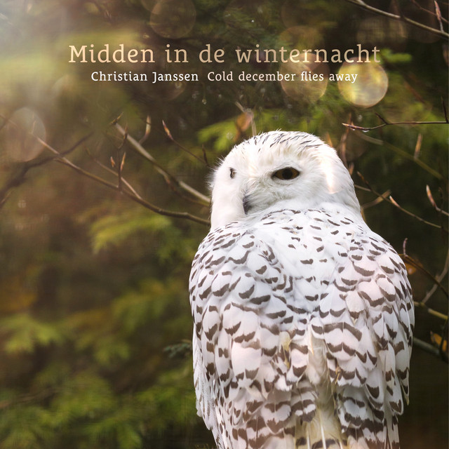 Midden in de winternacht (Cold december flies away) album image