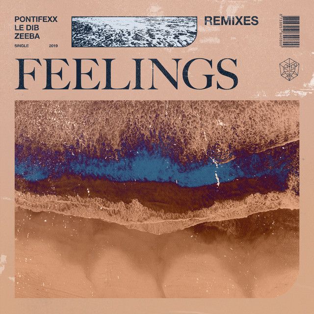 Feelings - Different Stage Extended Remix cover art