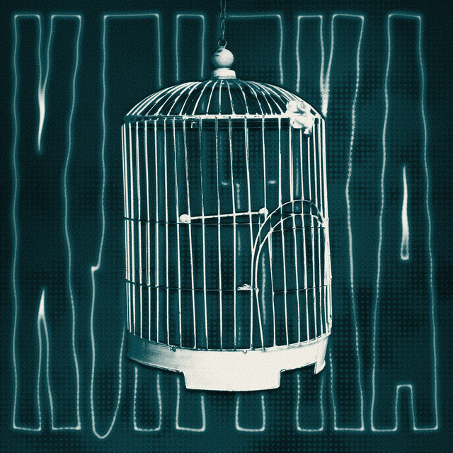 Обкладинка: Клітка — B,4ZE