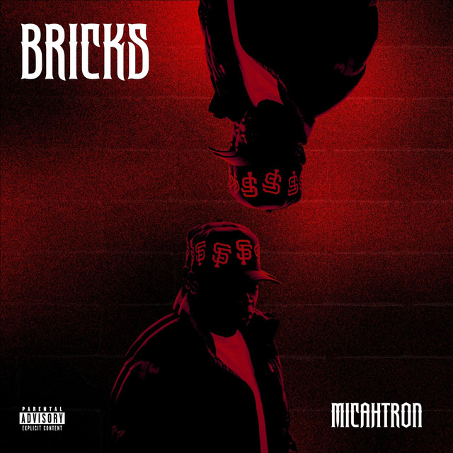 Bricks cover art
