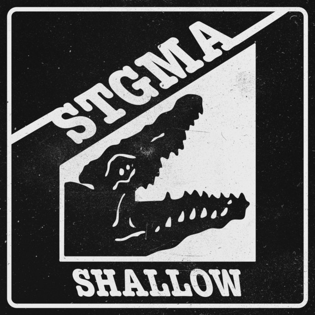 Shallow cover art