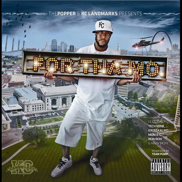 Damn Fool cover art