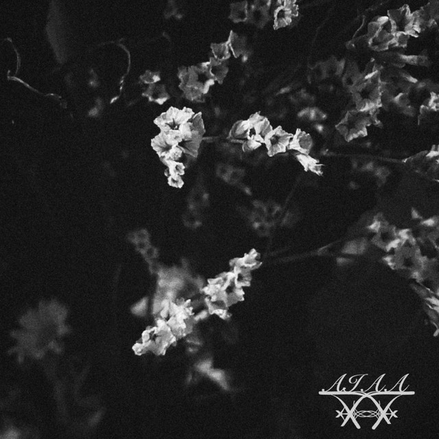 Flores En Mayo cover