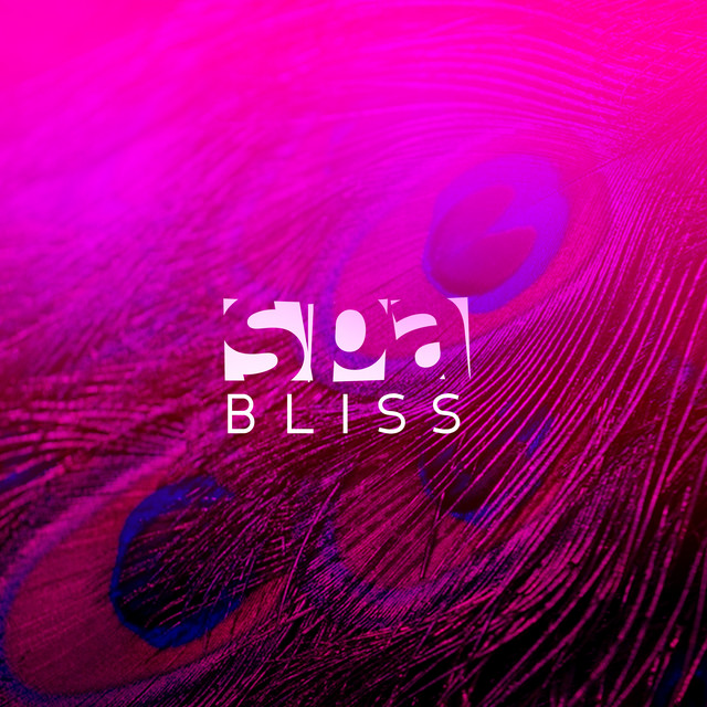 Spa Bliss by Spa & Relaxation