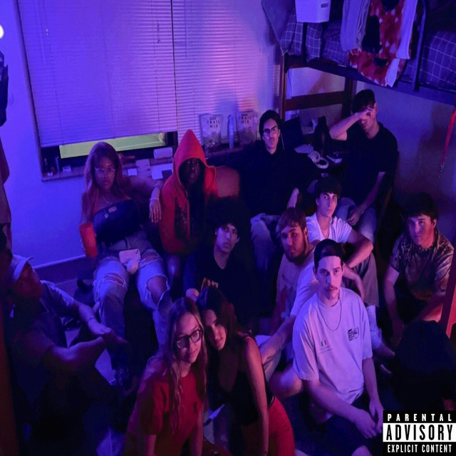 Times New Roman cover art
