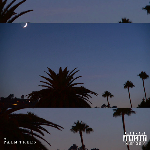 Palm Trees cover art