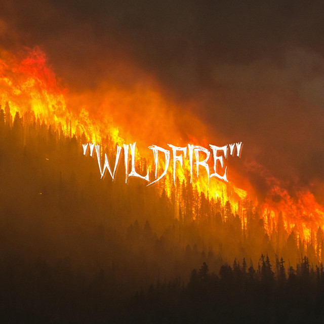 WILDFIRE cover art