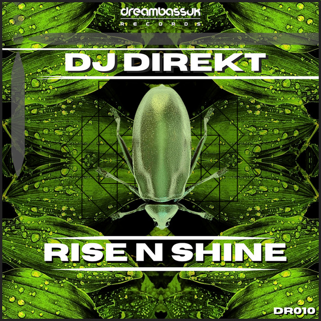 Rise n Shine artwork