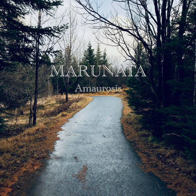 Amaurosis cover