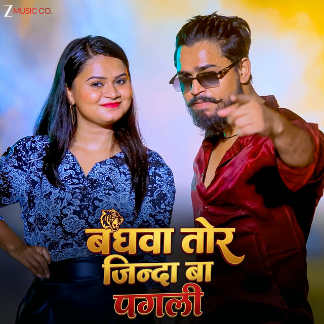 Baghava Tor Jinda Ba Pagali album image