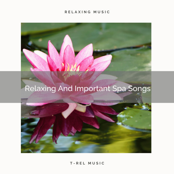 Relaxing And Important Spa Songs - Album by Spiritual Relax | Spotify