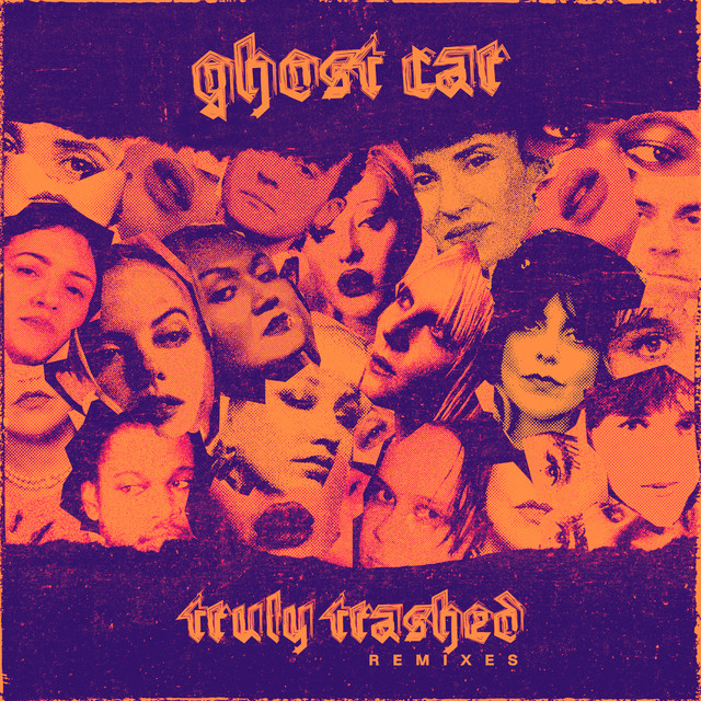 Truly Trashed cover