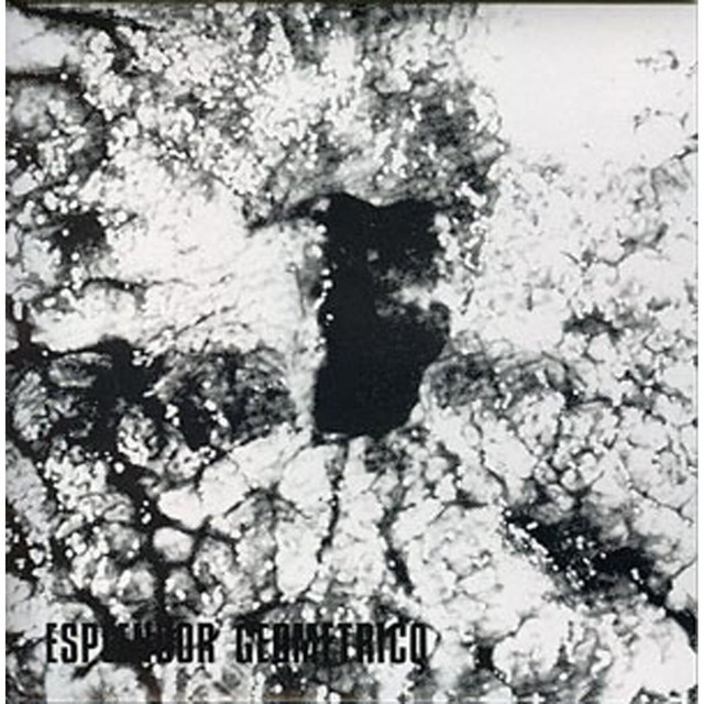 El Acero Partido cover art