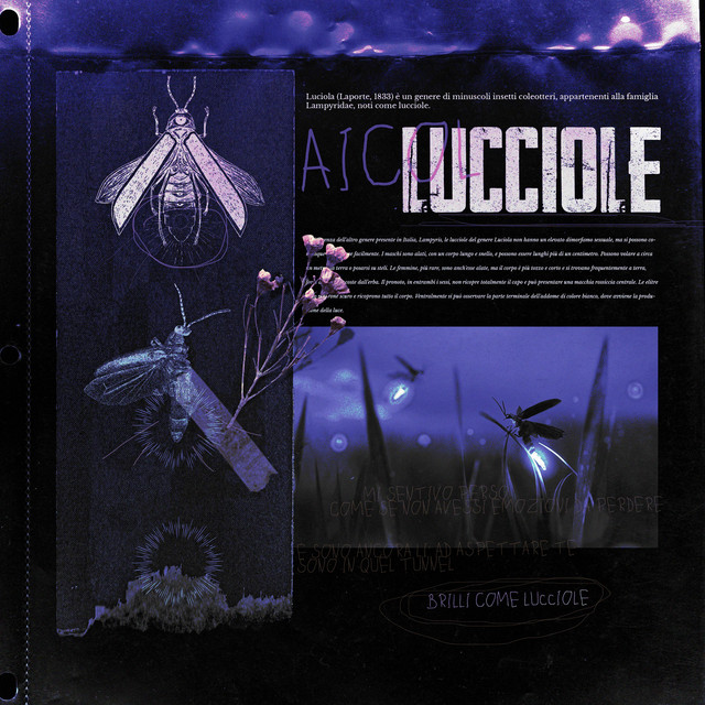 LUCCIOLE cover art