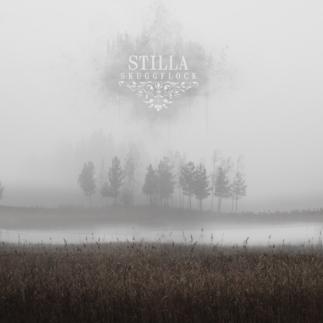 Skuggflock cover