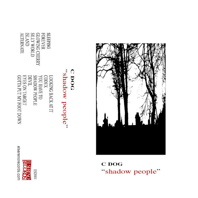 Sleeping cover art