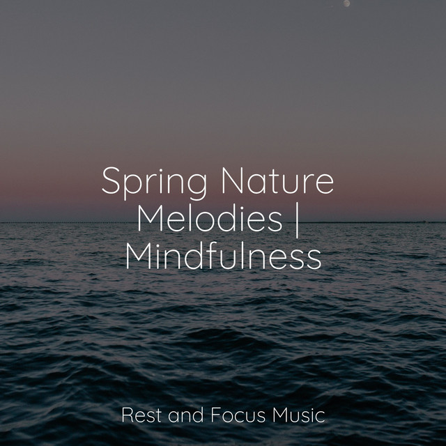 Spring Nature Melodies | Mindfulness - Album by Especialistas de Musica ...
