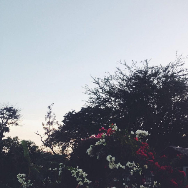 RT cover art