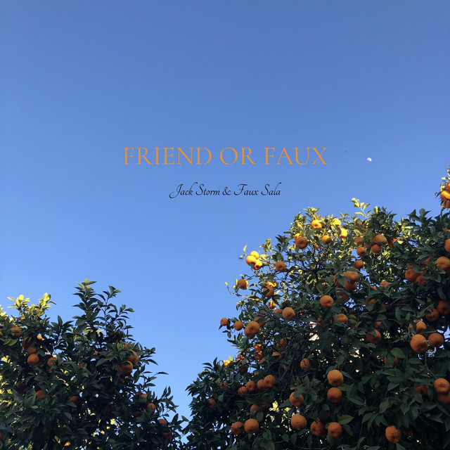 Friend or Faux cover art