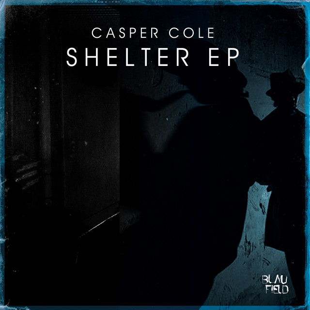 Shelter cover art