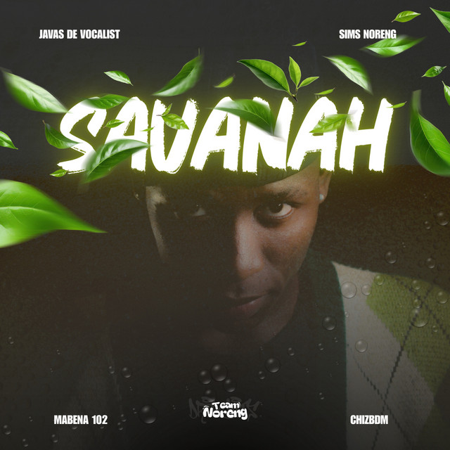 Savannah album image