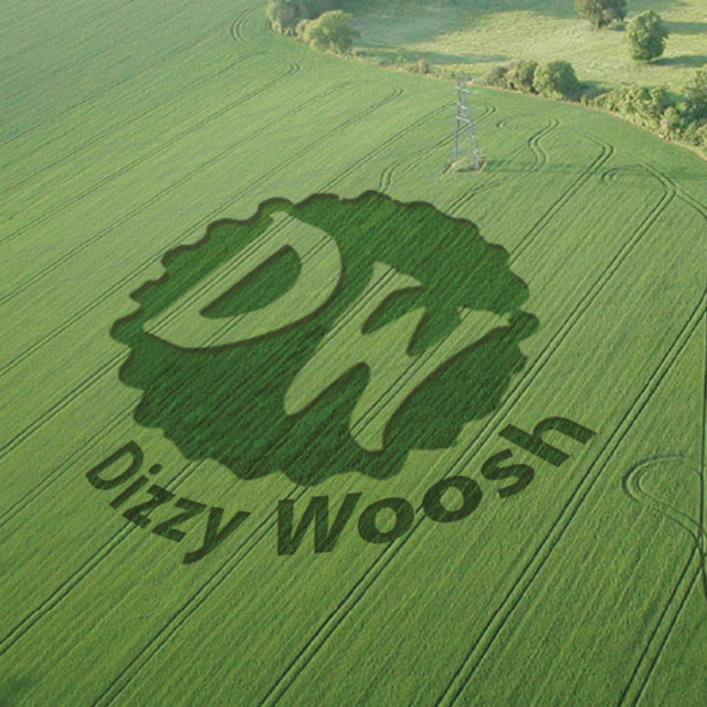 Dizzy Woosh cover