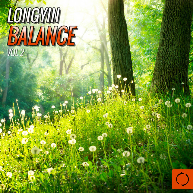 Longyin Balance, Vol. 2 cover art