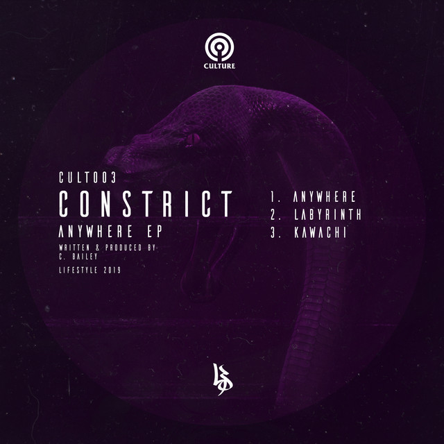 Lifestyle Presents: Culture 003 cover art