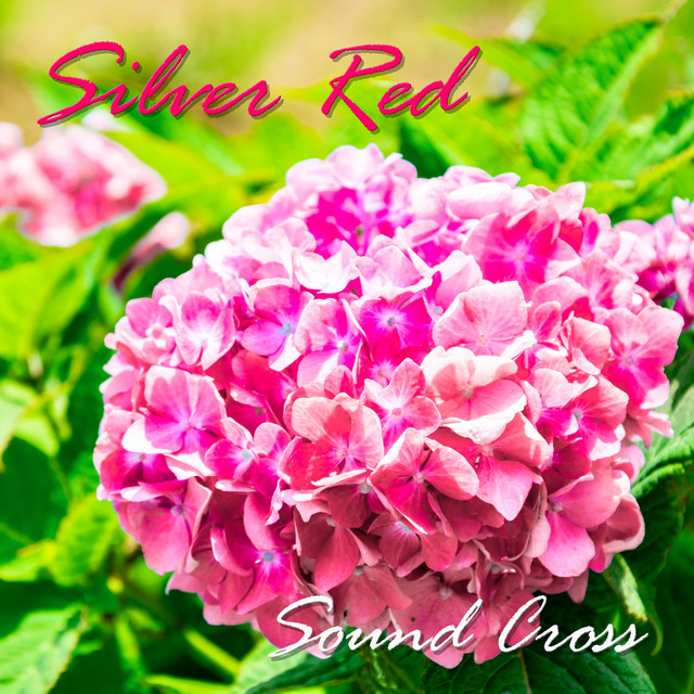 Sound Cross