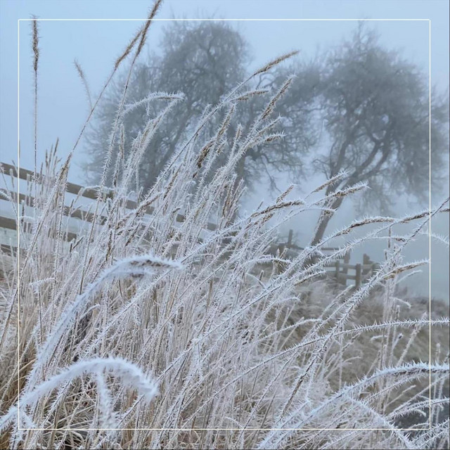 Coventry Carol album image